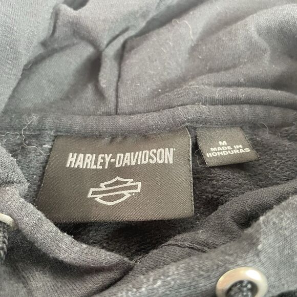 Harley Davidson Hoodie Sweatshirt, Medium, Black, Logo, Skull, Sleeve Spellout - Picture 3 of 8